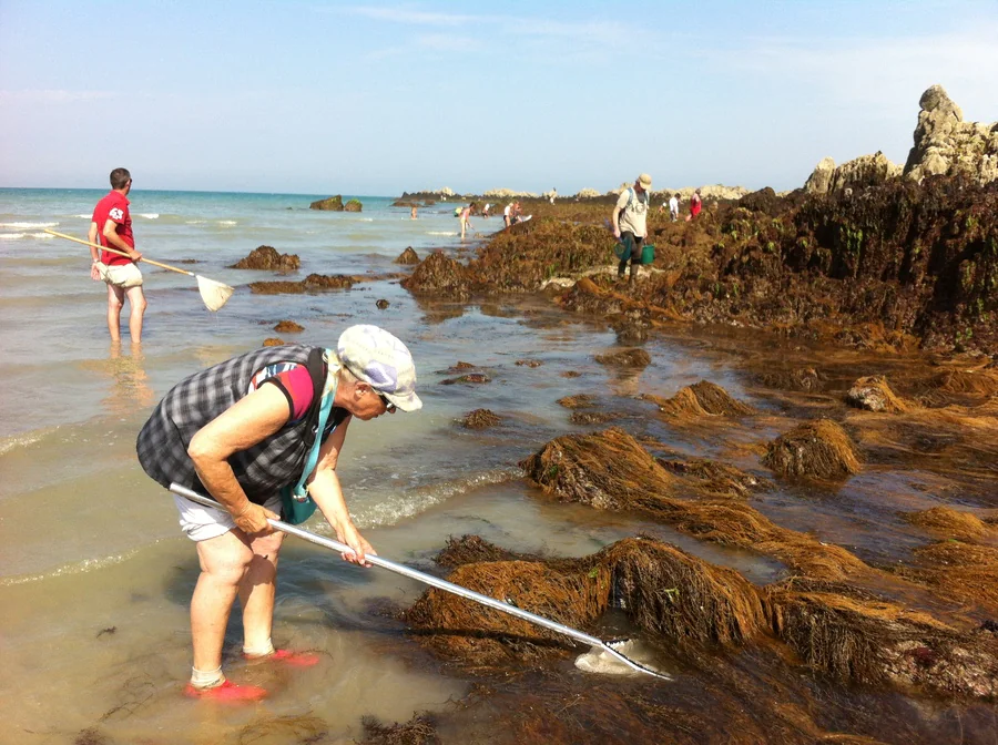 Comment pratiquer la peche a pied dans le Morbihan ?