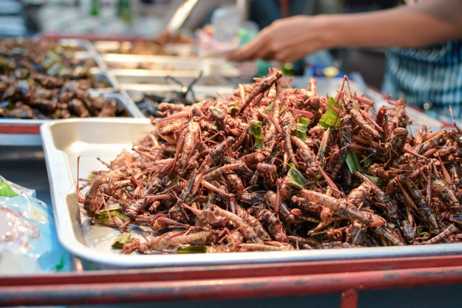 Pourquoi est-il recommandé de découvrir la cuisine de rue en voyage ?